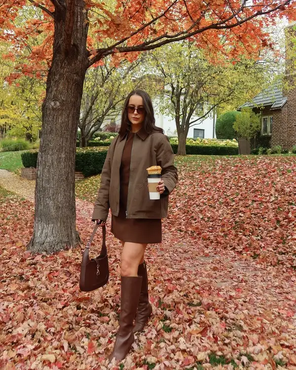 Brown Jacket And Mini Dress