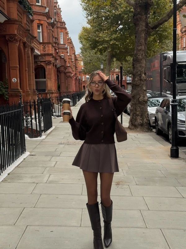 Brown Cardigan, Pleated Skirt